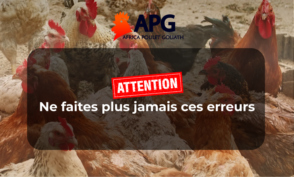 Se former, c’est éviter les erreurs coûteuses