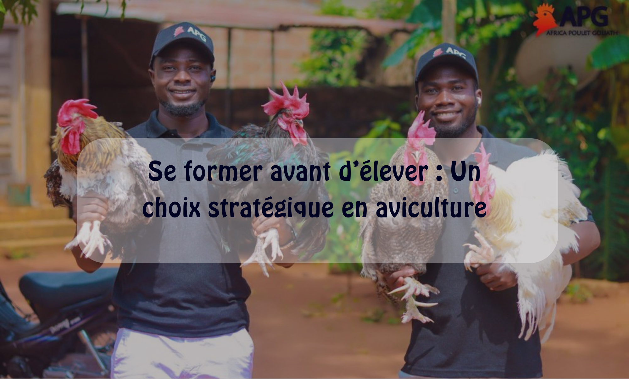 Se former avant d’élever : un choix stratégique en aviculture