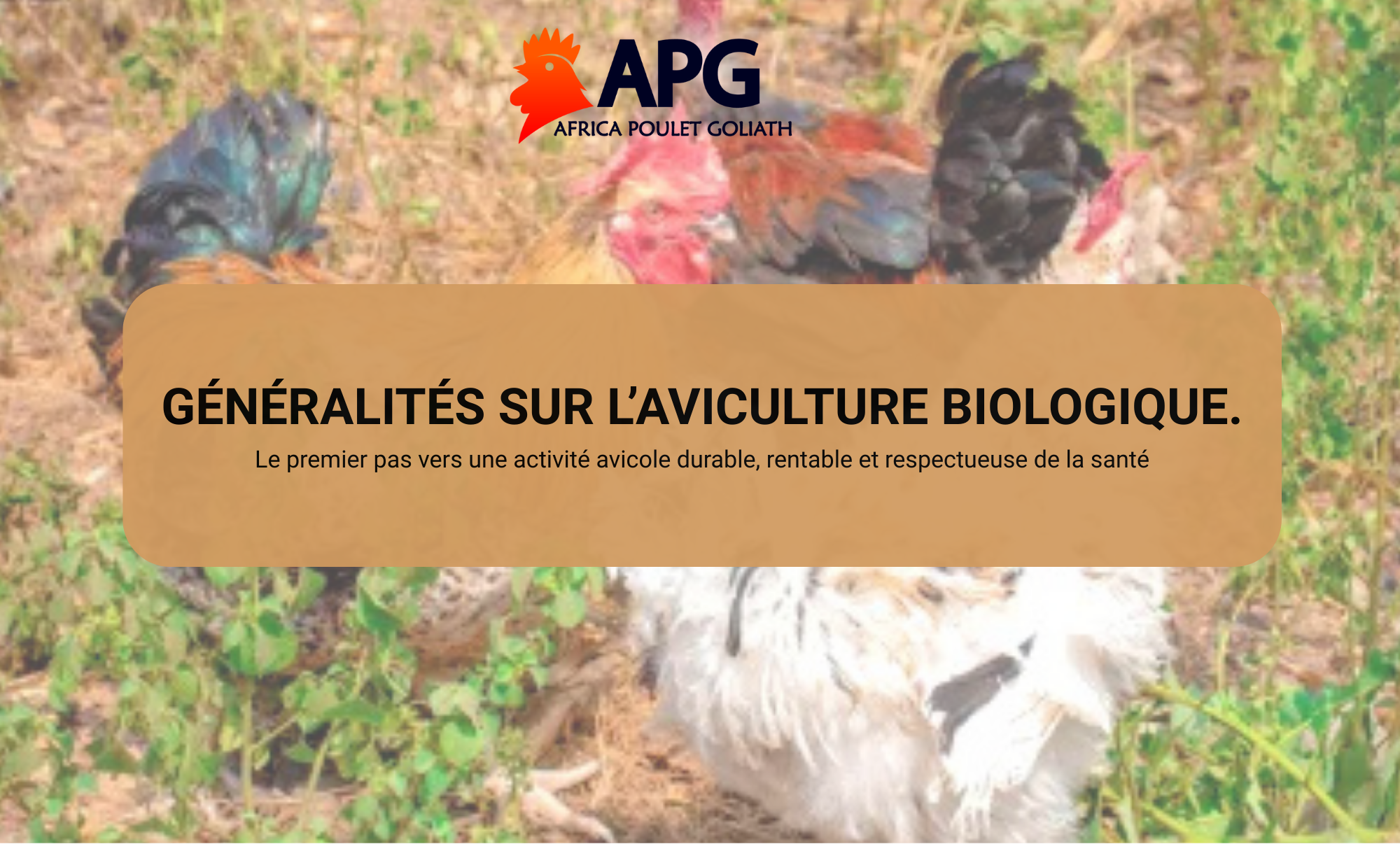 GÉNÉRALITÉS SUR L’AVICULTURE BIOLOGIQUE