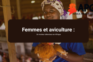 Attention(8) Femmes et aviculture : un moteur silencieux en Afrique