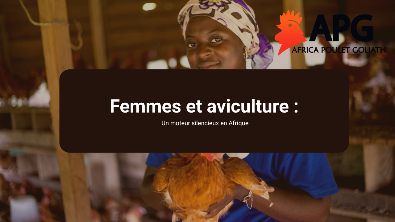 Femmes et aviculture : un moteur silencieux en Afrique