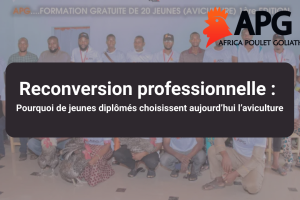 Reconversion professionnelle : pourquoi de jeunes diplômés choisissent aujourd’hui l’aviculture