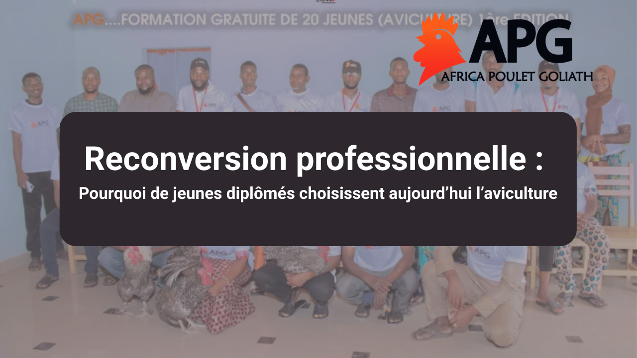 Reconversion professionnelle : pourquoi de jeunes diplômés choisissent aujourd’hui l’aviculture