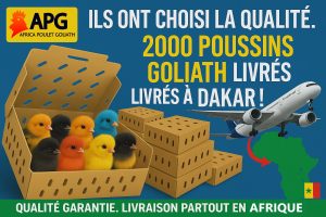 WhatsApp Image 2025-05-26 at 14.28.27 WhatsApp Image 2025-05-26 at 14.28.27